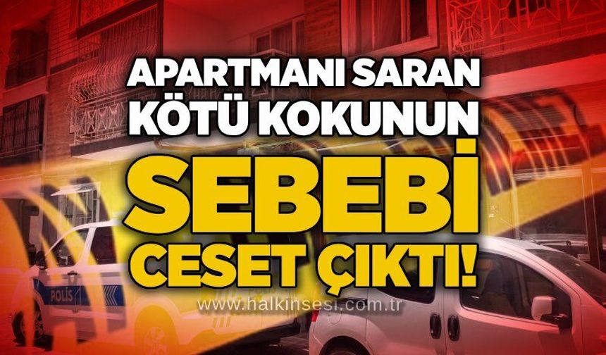 Apartmanı saran kötü kokunun sebebi ceset çıktı!