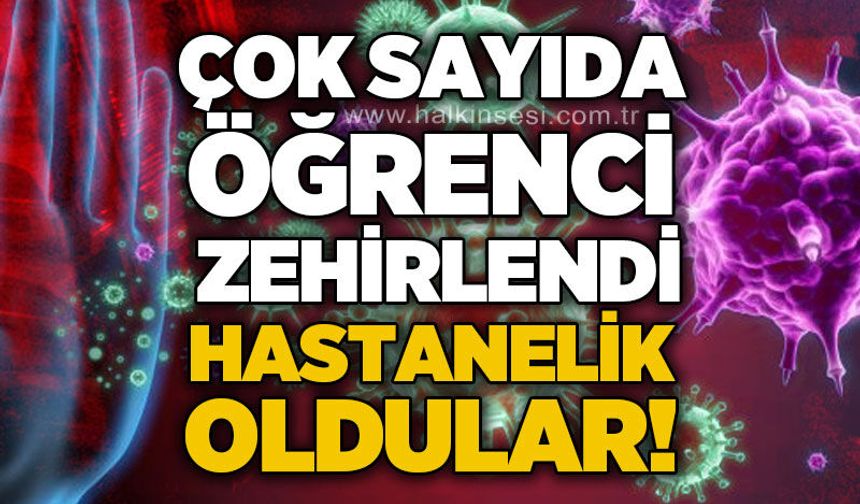 Çok sayıda öğrenci zehirlendi, hastaneye kaldırıldı!