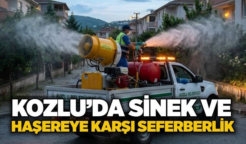 Kozlu’da sinek ve haşereye karşı seferberlik