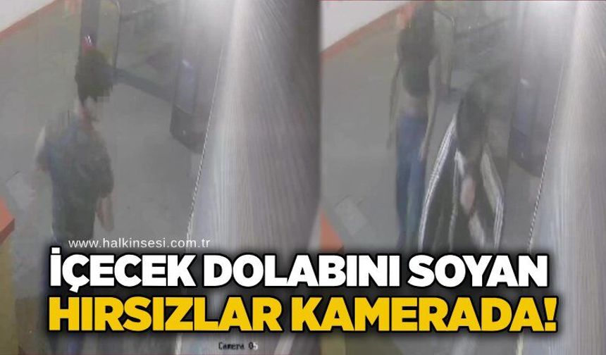 İçecek dolabını soyan hırsızlar kamerada!
