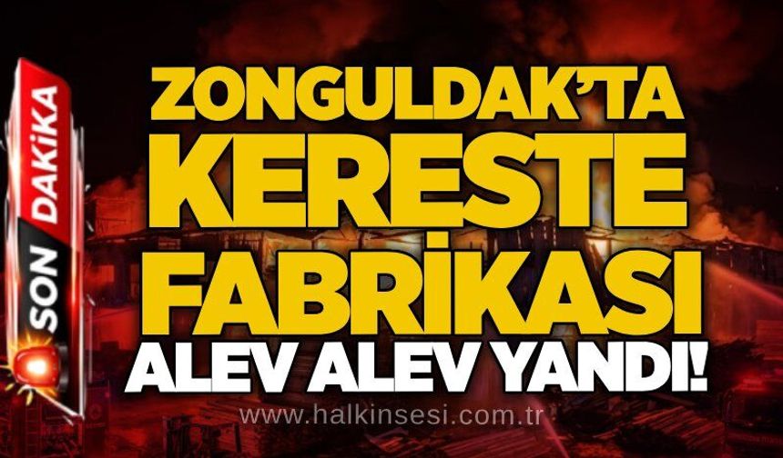 Zonguldak’ta kereste fabrikası alev alev yandı!