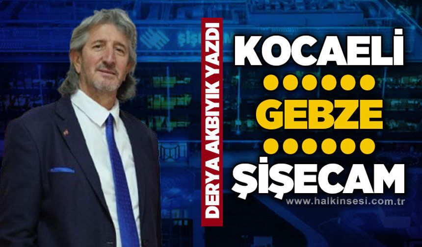 Kocaeli / Gebze / Şişecam