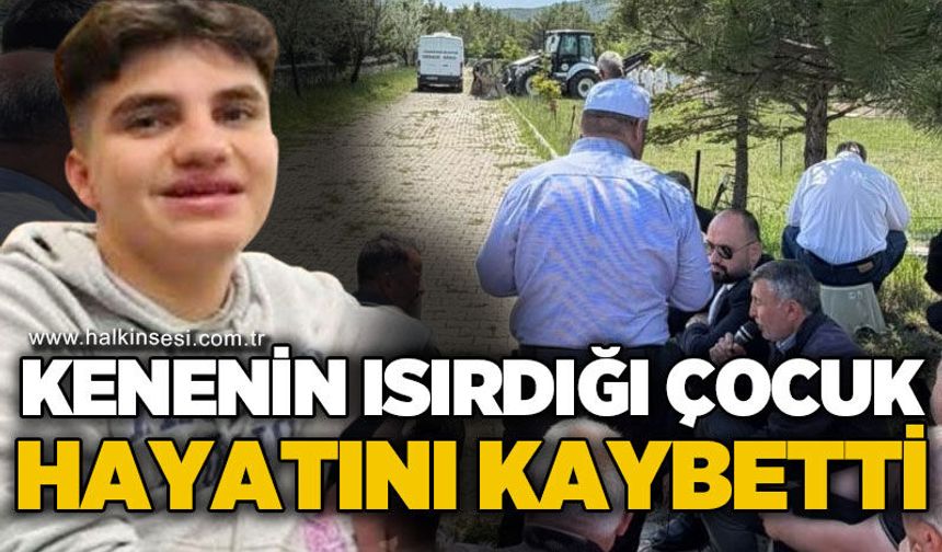 Kenenin ısırdığı çocuk hayatını kaybetti!