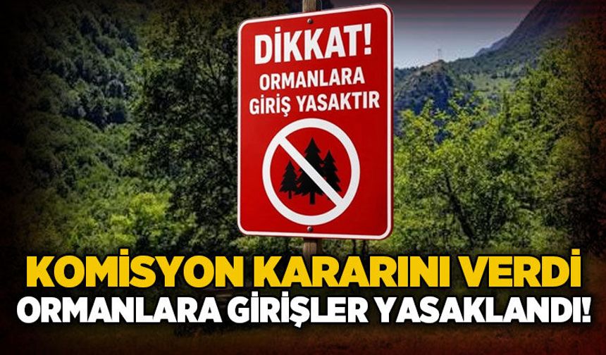 Komisyon kararı aldı: Ormanlara giriş yasaklandı!