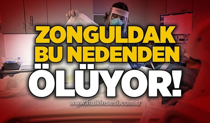 Zonguldak bu nedenden ölüyor!