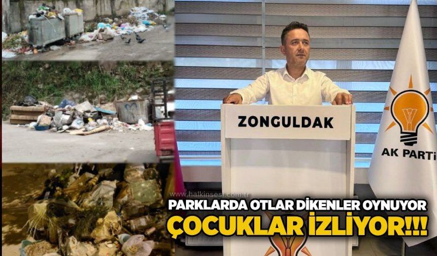 Parklarda otlar dikenler oynuyor, çocuklar izliyor!!!