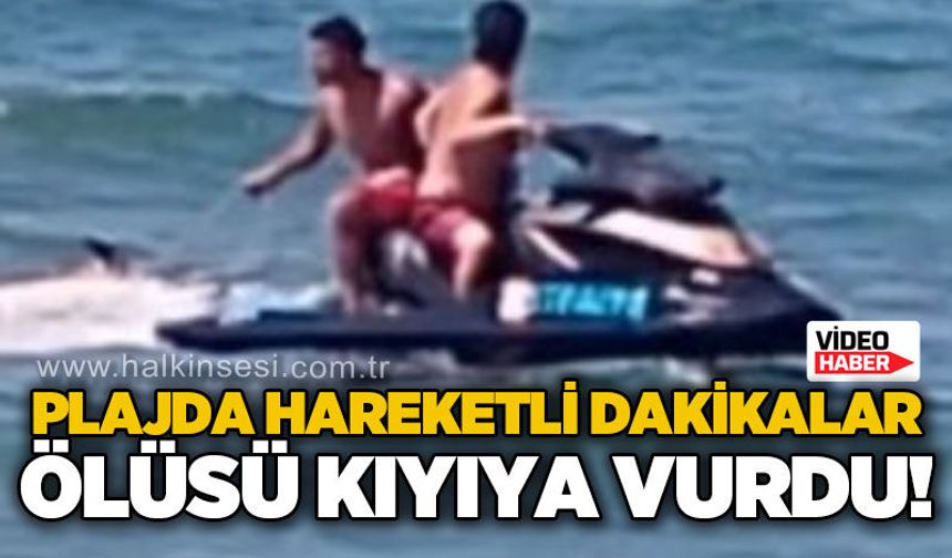 Plajda hareketli dakikalar: Ölüsü kıyıya vurdu, cankurtaranlar harekete geçti!