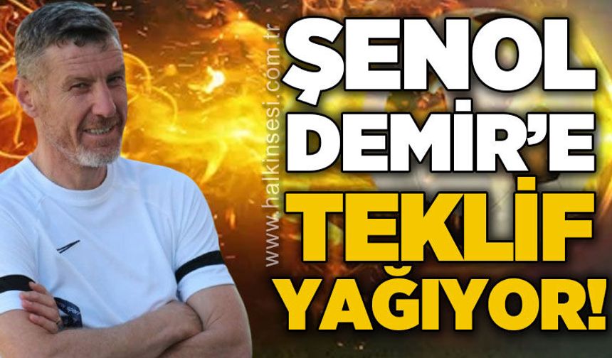 Şenol Demir'e teklif yağıyor!