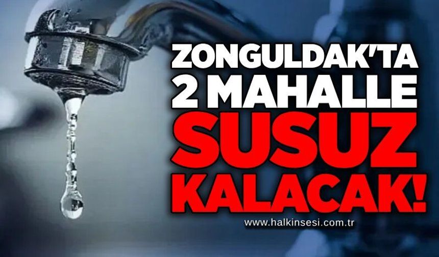 Zonguldak'ta 2 mahalle susuz kalacak!