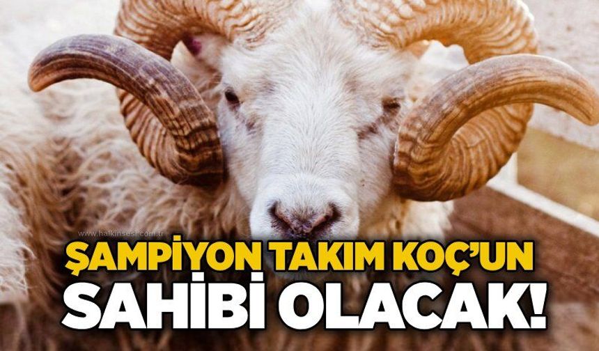 Şampiyon takım KOÇ’un sahibi olacak!