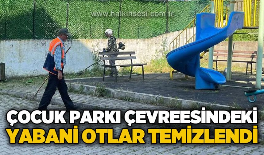 Çocuk parkının çevresindeki yabani otlar temizlendi