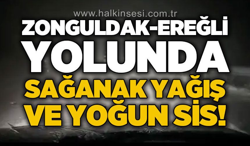 Kdz. Ereğli -Zonguldak yolunda sağanak yağış ve yoğun sis!