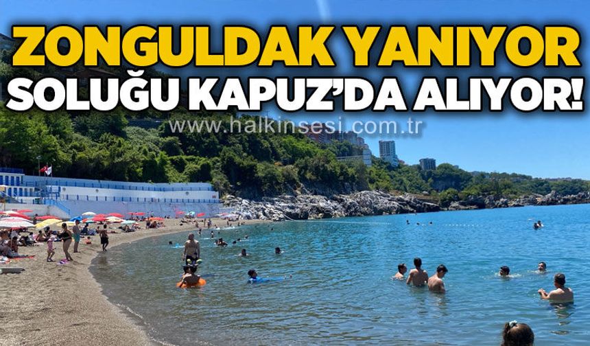 Zonguldak yanıyor, soluğu Kapuz Plajı'nda alıyor!