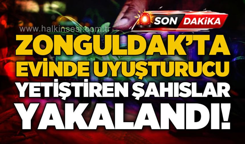 Zonguldak'ta evinde uy*şturucu yetiştiren şahıslar yakalandı!