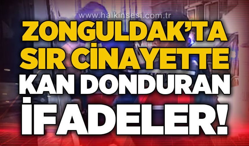 Zonguldak'ta 18 yıllık sır c*nayette kan donduran ifadeler: Arka koltukta boğarak öld*rdü!