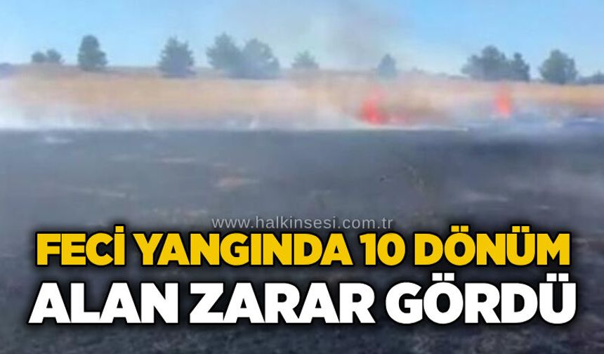 Feci yangında 10 dönüm alan zarar gördü
