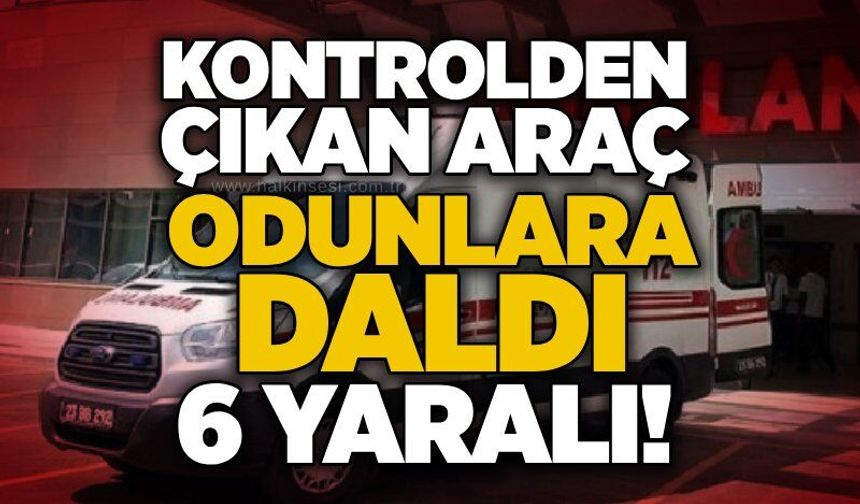 Kontrolden çıkan araç odunlara daldı: 6 yaralı!