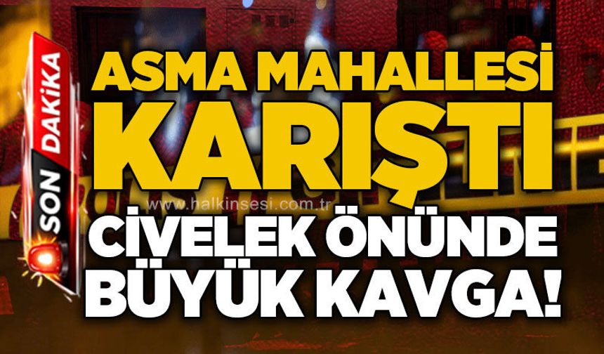 Asma'da ortalık karıştı: Civelek önünde büyük kavga!