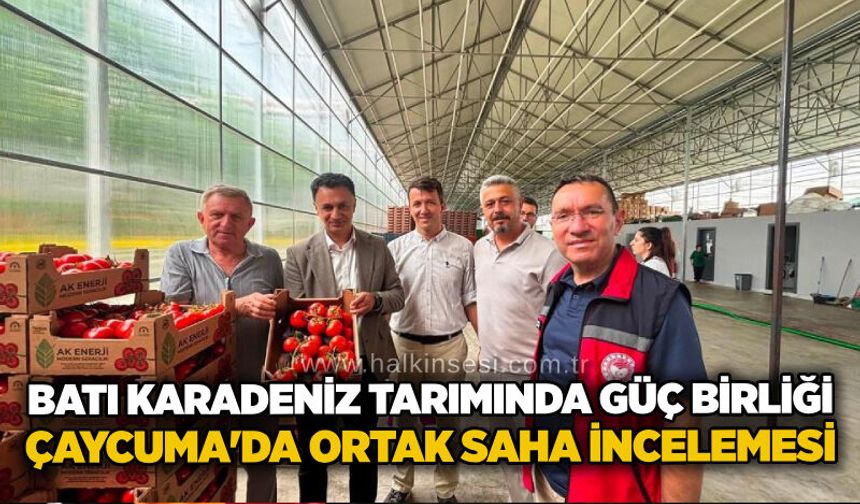 Batı Karadeniz tarımında güç birliği: Çaycuma'da ortak saha incelemesi