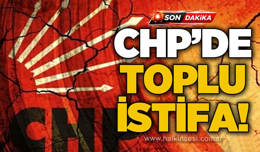 CHP Devrek'te toplu istifa: Özgür Özel ile yola devam edecekler