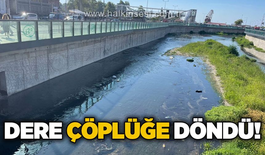 Dere çöplüğe döndü