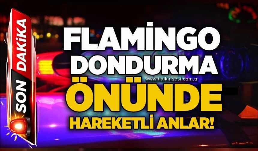 Flamingo Dondurma önünde hareketli anlar!