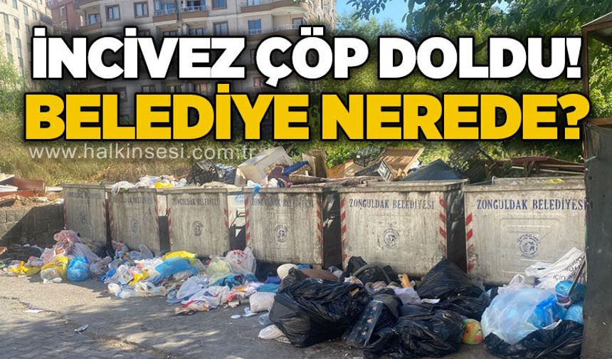 İncivez'de çöp isyanı: Kötü koku, fare ve sinekler mahalleliyi bezdirdi