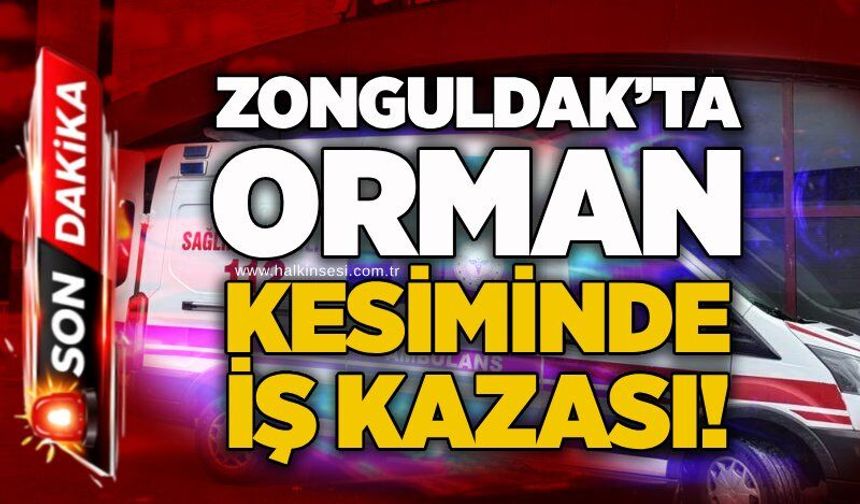 Zonguldak’ta orman kesiminde iş kazası!