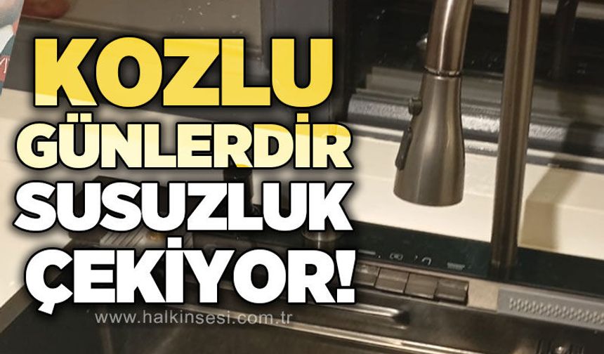 Kozlu günlerdir susuzluk çekiyor!