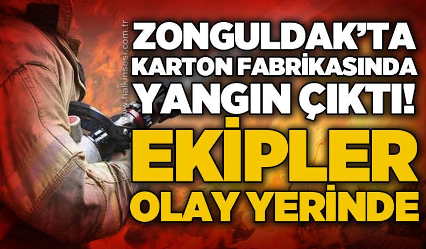 Zonguldak'ta karton fabrikasında yangın: Ekipler seferber oldu!