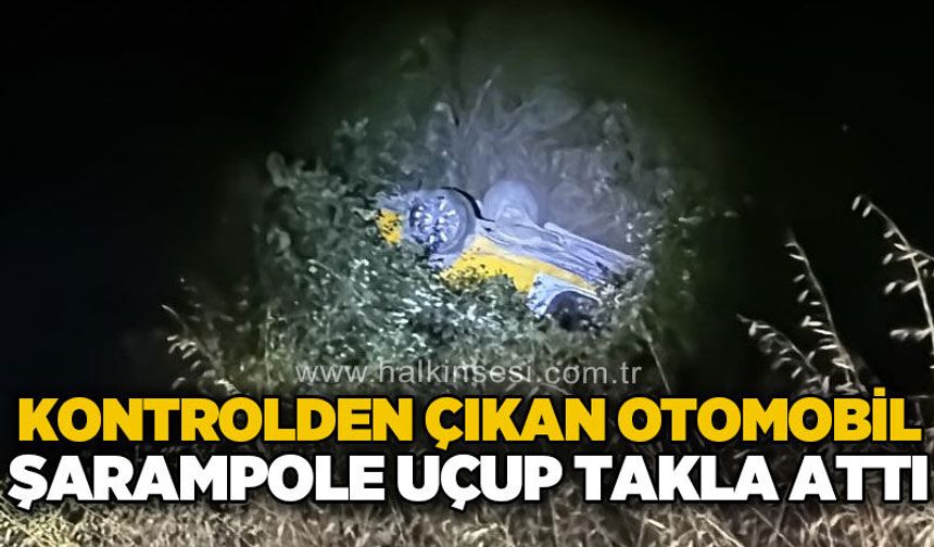 Taksi 50 metrelik şarampole uçtu!