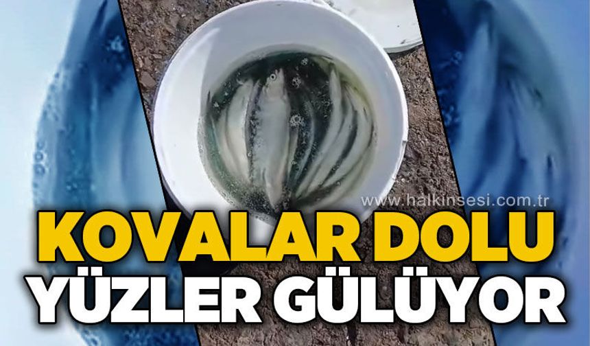 Kovalar dolu yüzler gülüyor