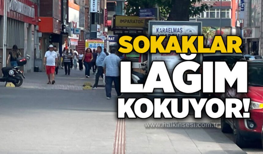 Sokaklar lağım kokuyor!