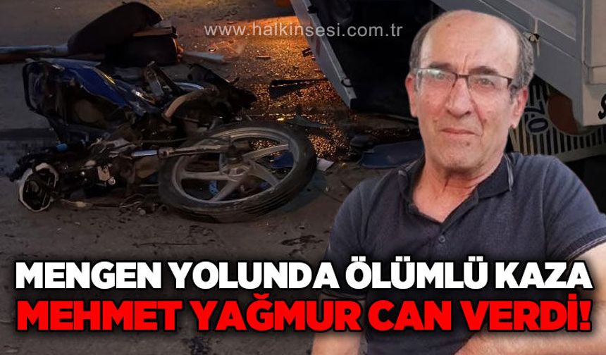 Mengen yolunda ölümlü kaza: Mehmet Sait Yağmur yaşamını yitirdi