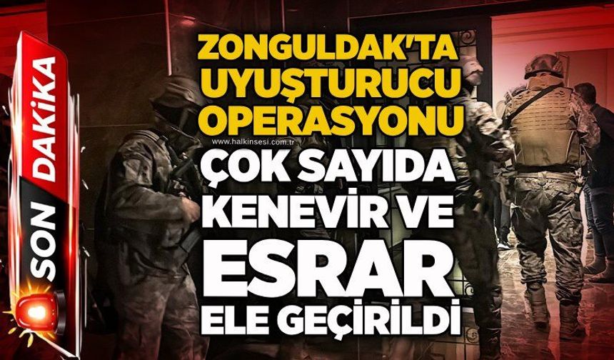 Zonguldak'ta Uyuşturucu Operasyonu: Çok sayıda kenevir ve esrar ele geçirildi
