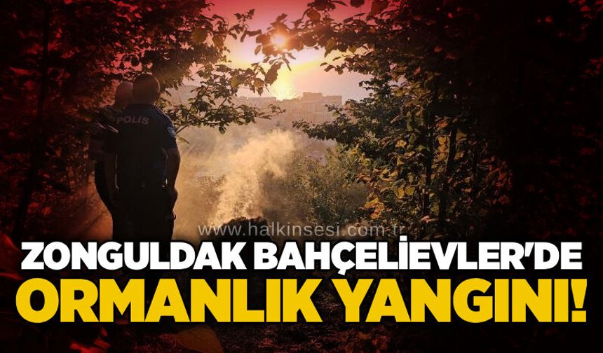 Zonguldak Bahçelievler'de ormanlık yangını!