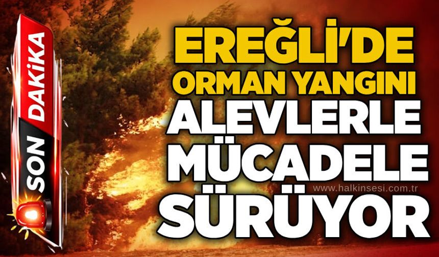 Ereğli'de orman yangını: Alevlerle mücadele sürüyor