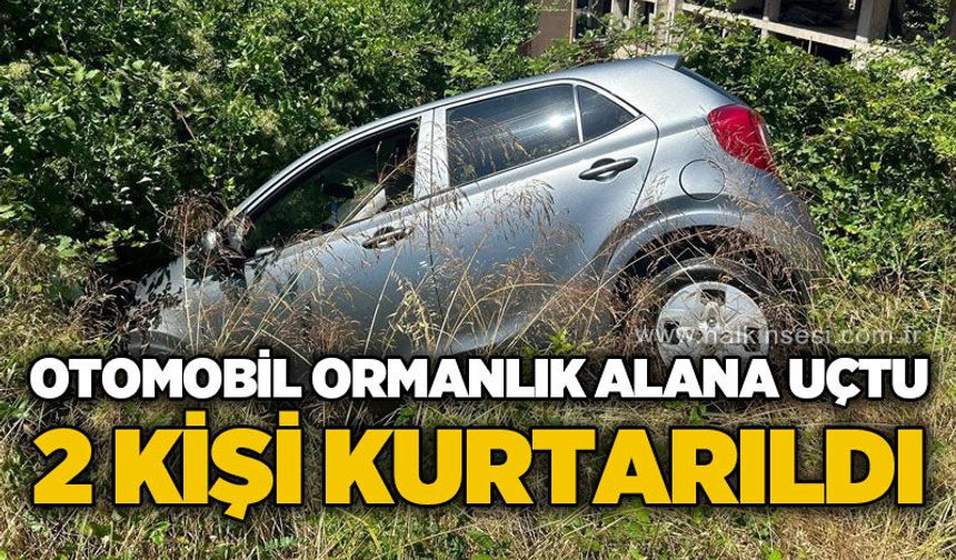 Otomobil ormanlık alana uçtu: 2 kişi kurtarıldı