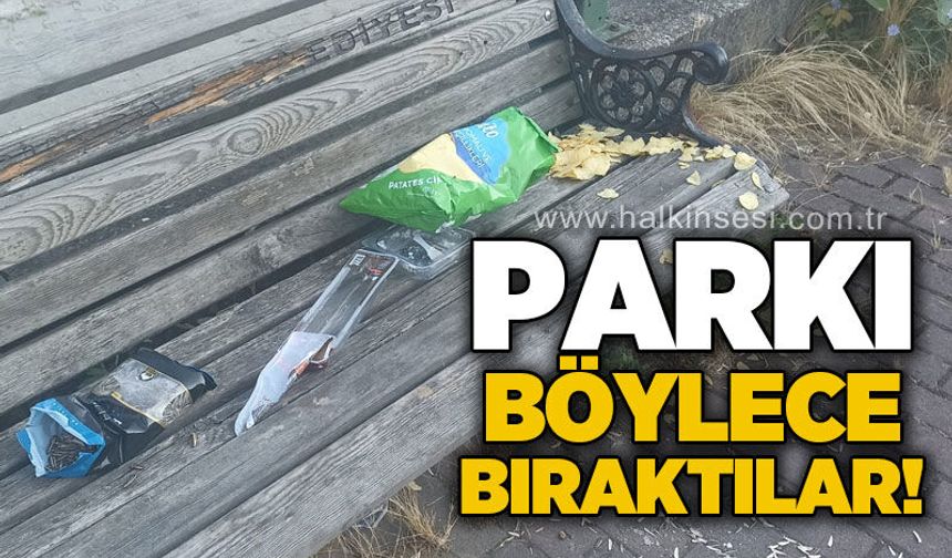 Karaelmas Mahallesi'nde parkı çöplüğe çevirdiler!
