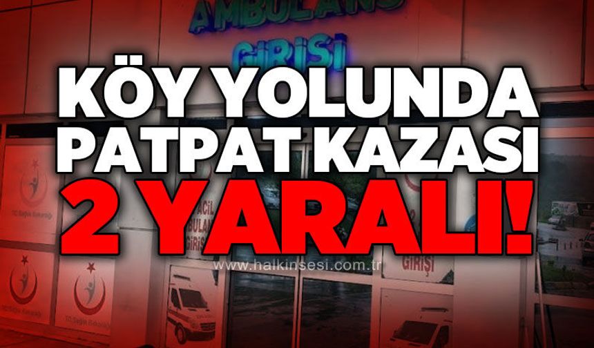 Köy yolunda patpat kazası: 2 kişi yaralandı