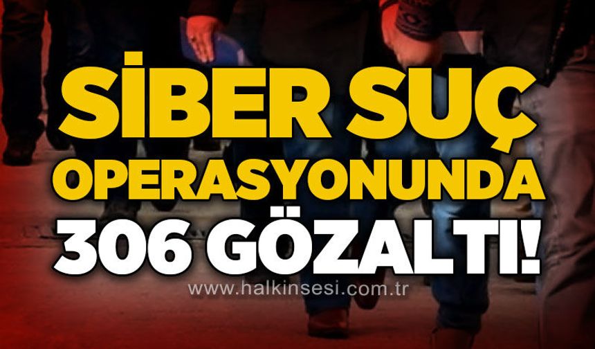Siber suç operasyonunda 306 gözaltı!