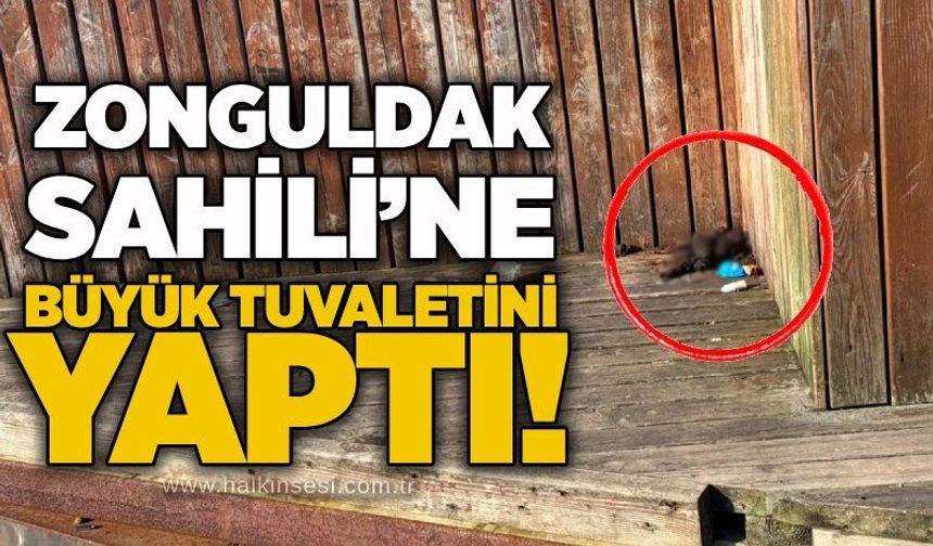 Zonguldak Sahili’ne büyük tuvaletini yaptı!