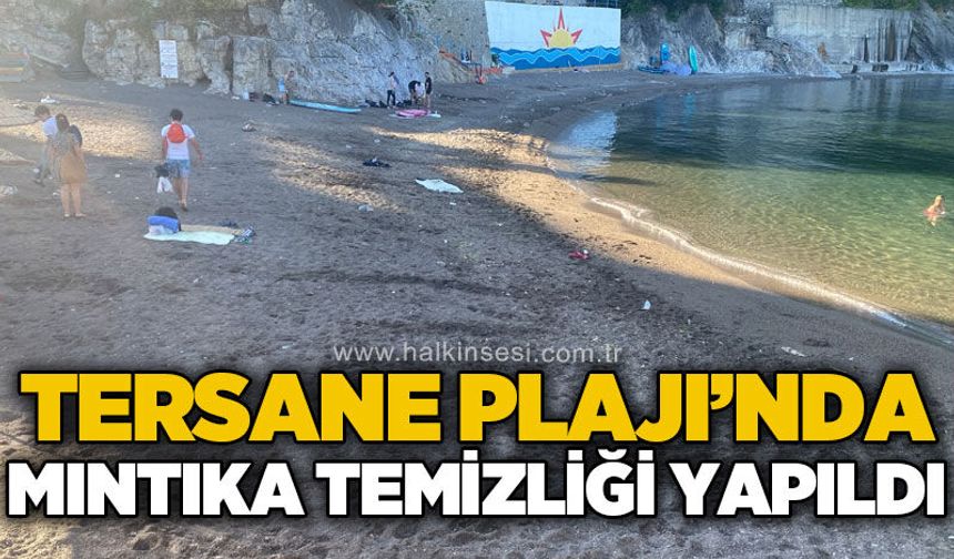 Tersane Plajı'nda mıntıka temizliği yapıldı