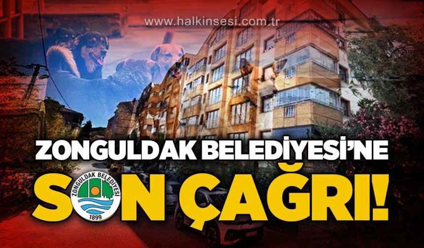 Zonguldak Belediyesi'ne son çağrı: Ciddi yaralanmalar olabilir!