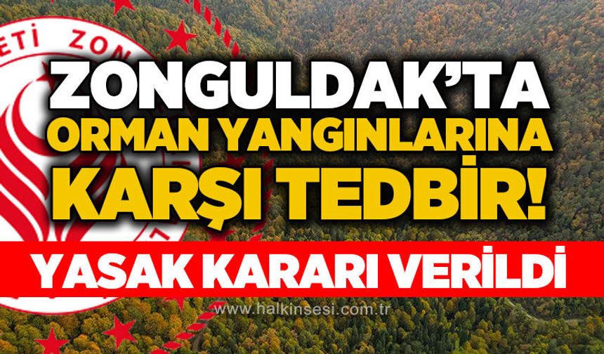 Zonguldak'ta orman yangınlarına karşı tedbir: Ateş ve mangal yasağı başladı