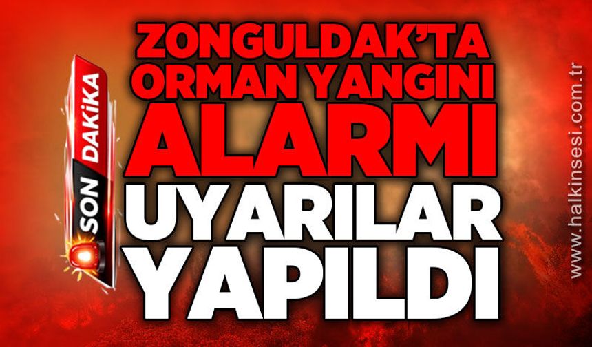 Zonguldak'ta orman yangını alarmı: Uyarılar yapıldı!
