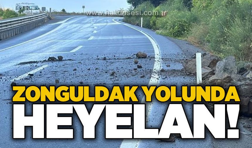 Alaplı-Akçakoca kara yolunda heyelan: Ulaşımda aksama yaşandı