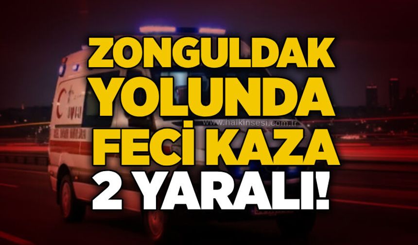 Zonguldak yolunda feci kaza:2 yaralı!