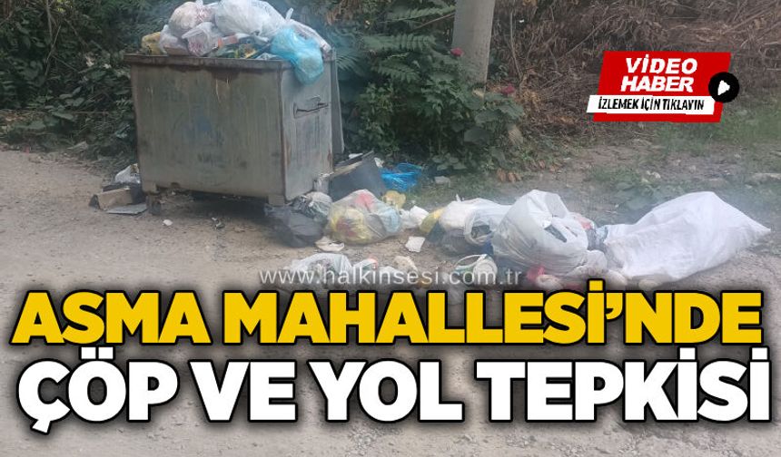 Asma Mahallesi’nde çöp ve yol tepkisi