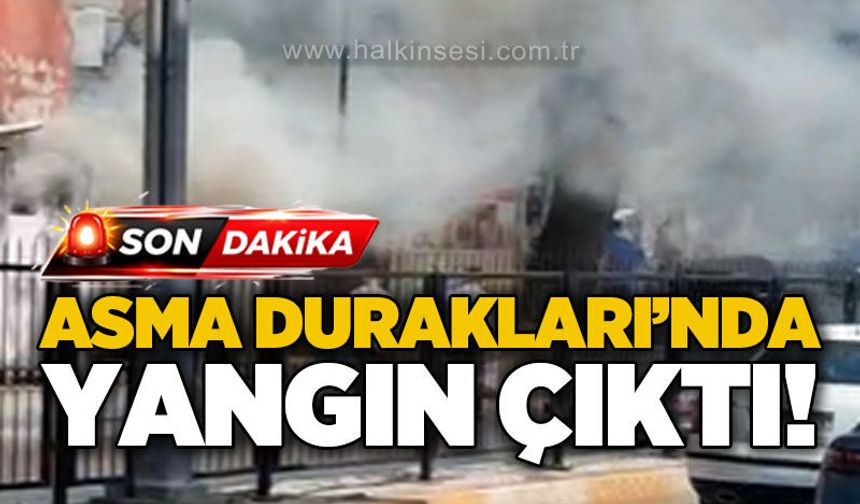 Asma Durakları'nda yangın çıktı!